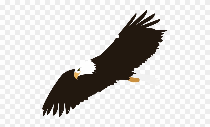 6748 Soaring Eagle Silhouette Clip Art Public Domain - Eagle With White Background #304974