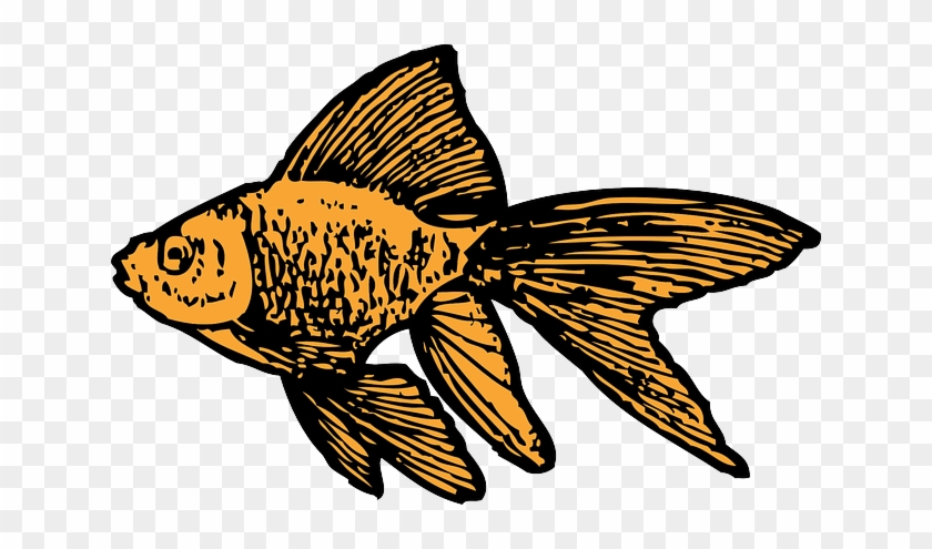 Water, Small, Cartoon, Tank, Little, Fish, Gold - Goldfish Clip Art #305254