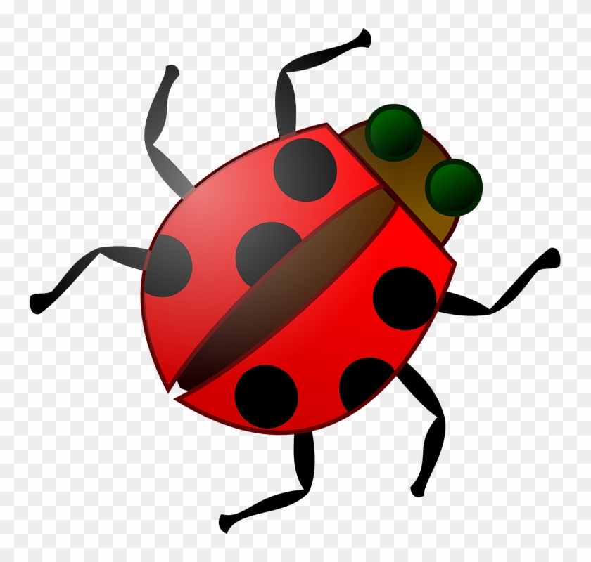 Beetle Clipart Red Bug Pencil And In Color Beetle Clipart - Bug Clip Art #305458