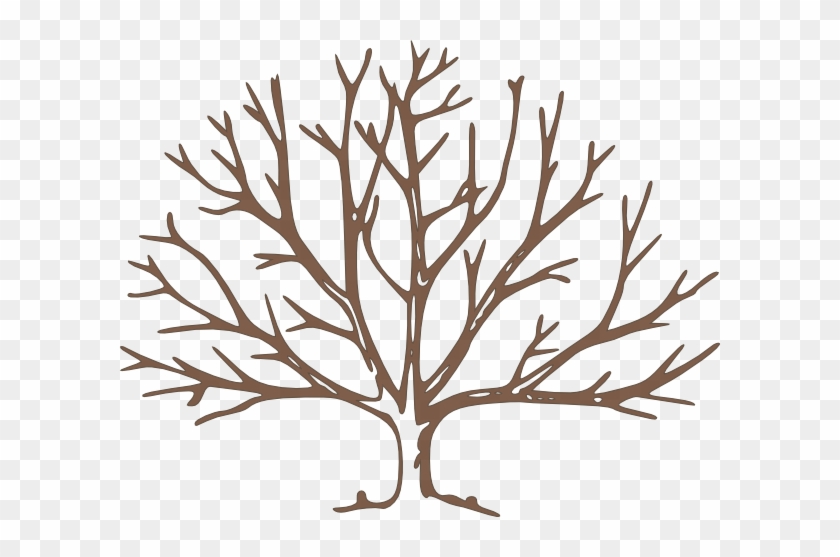 Brown Bare Tree Clip Art - Draw A Winter Tree #305540