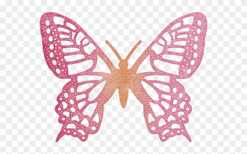 Cheery Lynn Design Dies Exotic Butterfly X-tra Large, - Cheery Lynn Designs - Exotic Butterfly Medium- #2 Die #305949