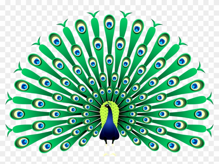 Peafowl Clip Art - Clipart Images Of Peacock #306114