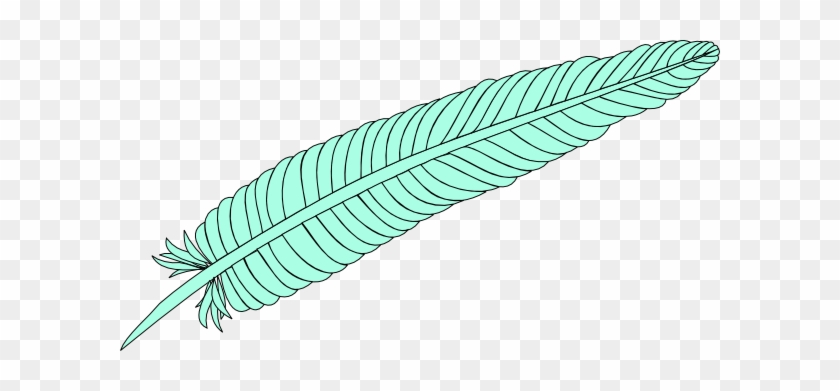 Feather Clip Art - Vascular Plant #306138