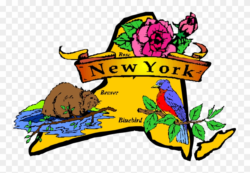 Best Places To Live - New York State Flower And Bird #306194