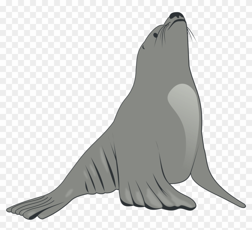 Sea Lion Clip Art - Cartoon Sea Lion #306353