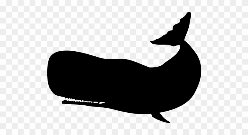 View All Images-1 - Whale Silhouette Clip Art #306391