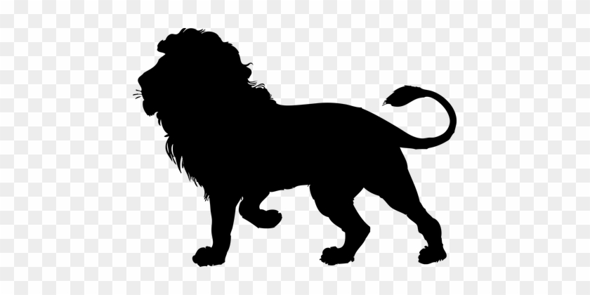 Animal Cat Feline Lion Mammal Lion Lion Li - Lion Silhouette #306423