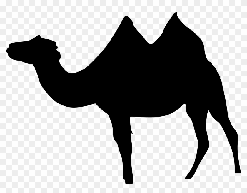 Open - Black Camel Png #306458