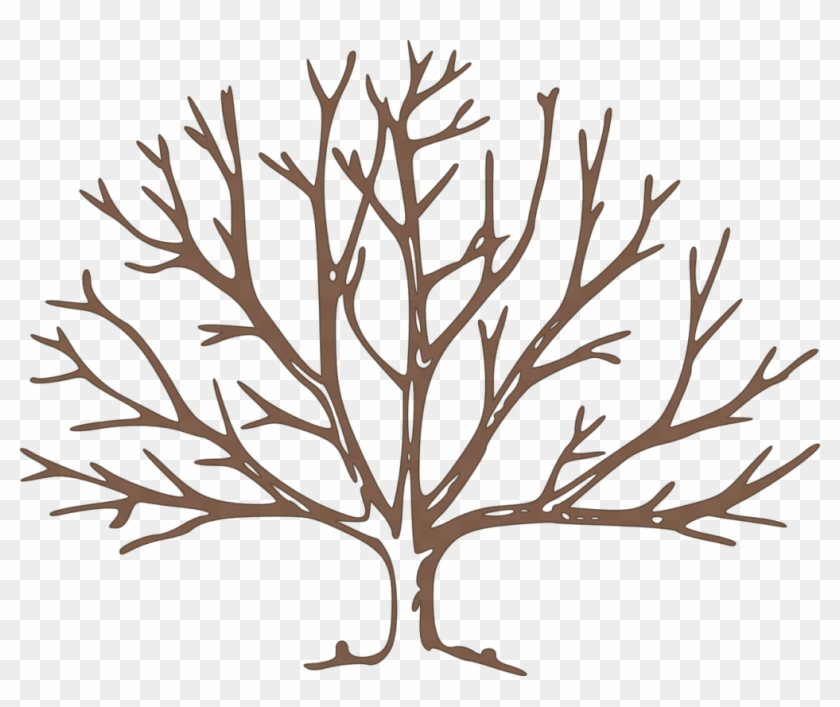 Africa Drylands Programme - Draw A Winter Tree #306786