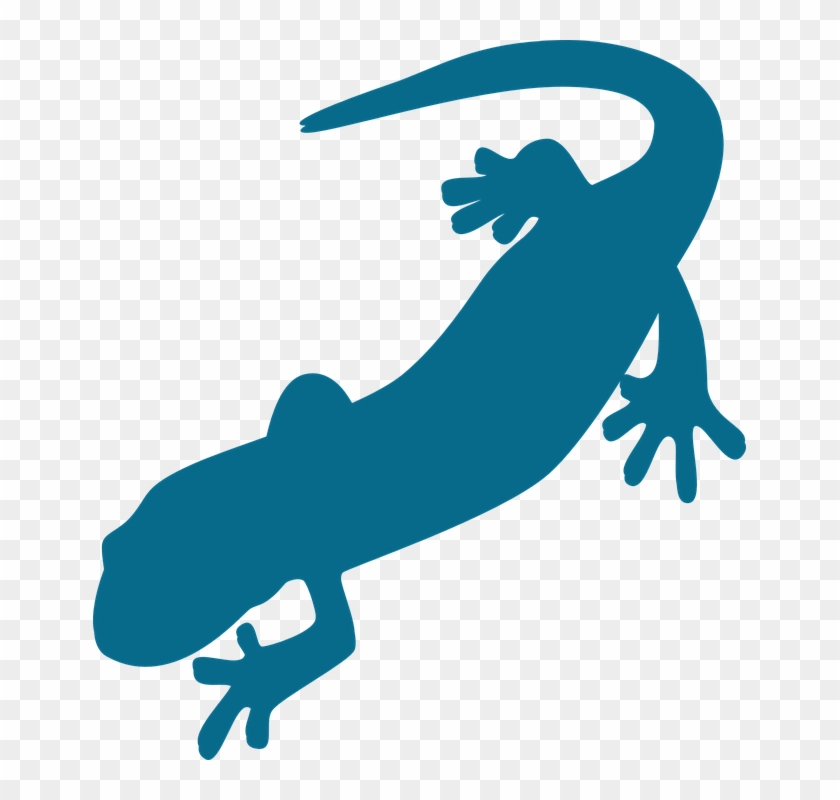 Saurian, Amphibian, Salamander, Gecko, Silhouette, - Salamander Png #306930