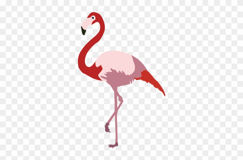 Flamingo Cartoon Clip Art - Drawing #306962