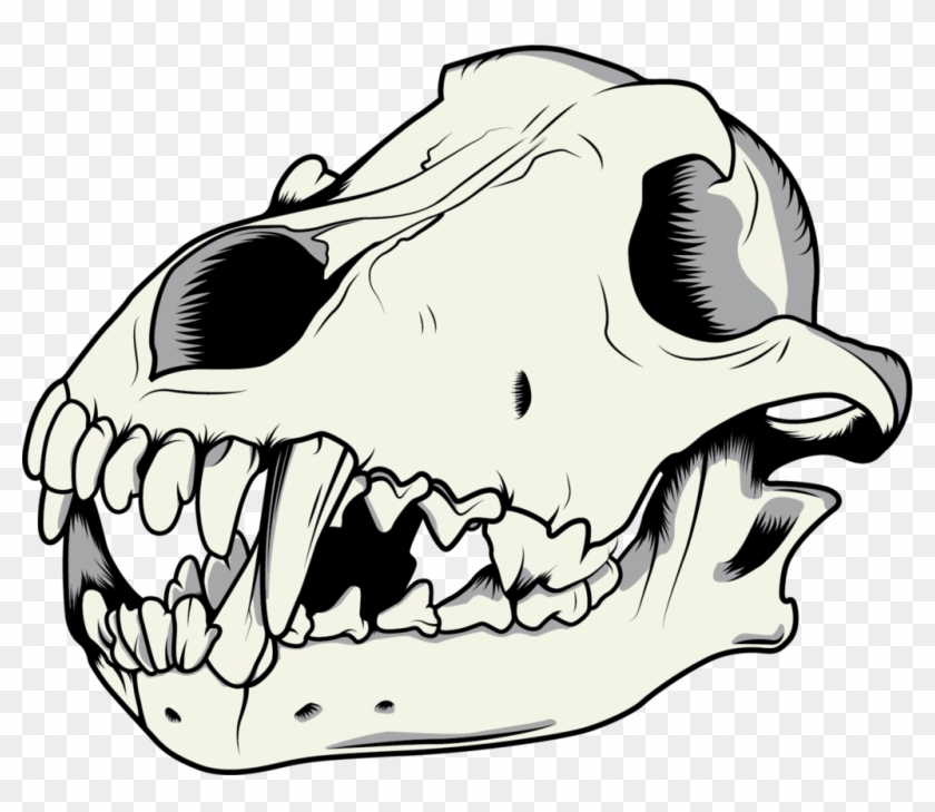 Clipart Wolf - Dog Skull Vector Png #307244