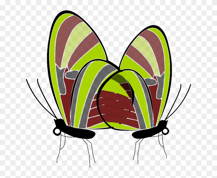 Animals Butterflies, Insects, Animals - Clip Art #307328