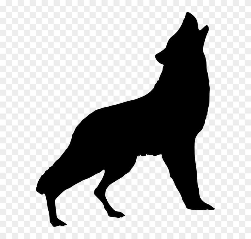 Silhouette, Wolf, Howling, Art, Wild, Animal, Nature - Wolf Howling Silhouette #307349