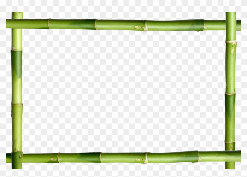 Green Bamboo Stick Frame - Bamboo Stick #307352