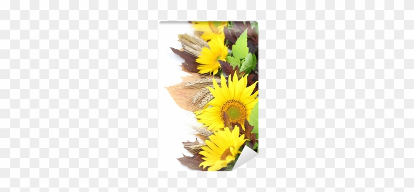 Sunflower Border With Barley And Colorful Leaves Wall - Royalty-free #307389