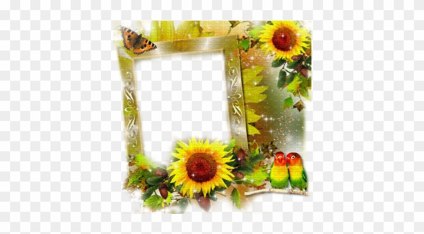 Sunflower Border Png Autumn Sunflower Frame - Frames Sunflowers Transparent #307393