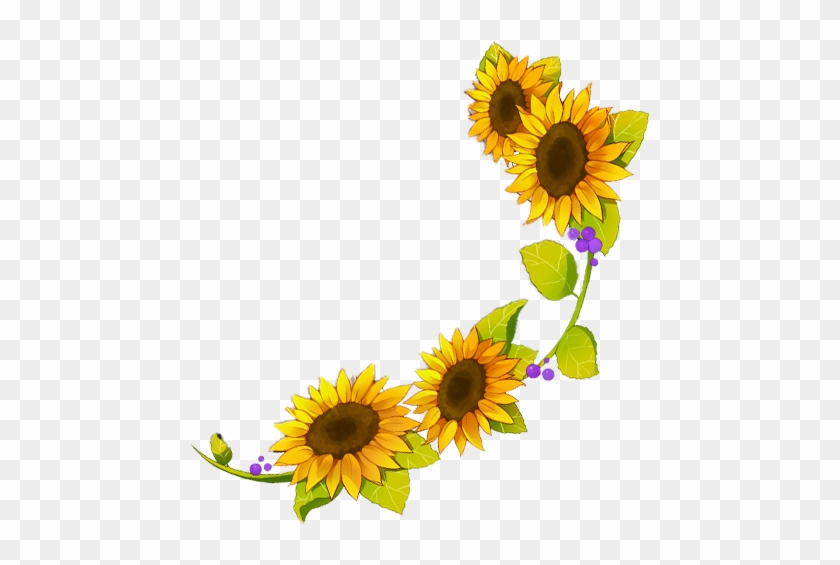 Sunflower Border Png Boutique D'analyse - Desenho Flor De Girassol #307405