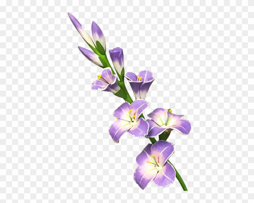 Sunflower Page Border Download - Gladiolus Flower Clip Art #307408