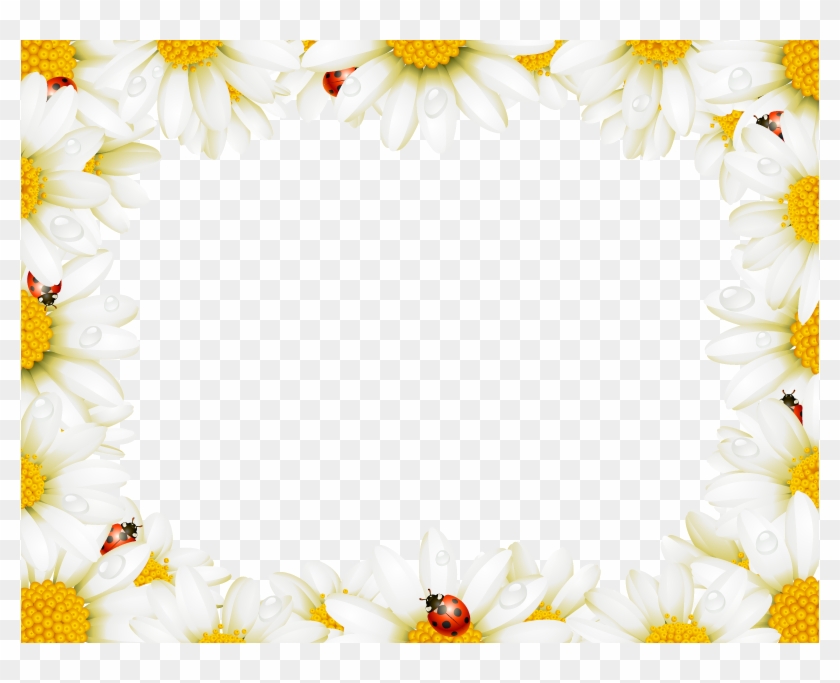 Flower Picture Frame Chamomile Royalty-free - Frames In Flowers Free #307419