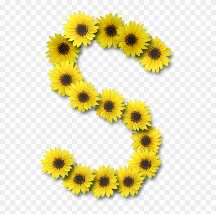 Alfabeto Sunflowers - Alfabeto Sunflowers #307424