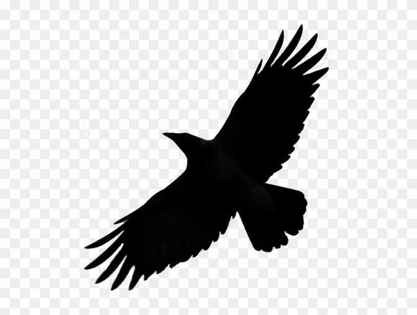 Crow Free Png Transparent Background Images Free Download - Bird Silhouette Flying Png #307426