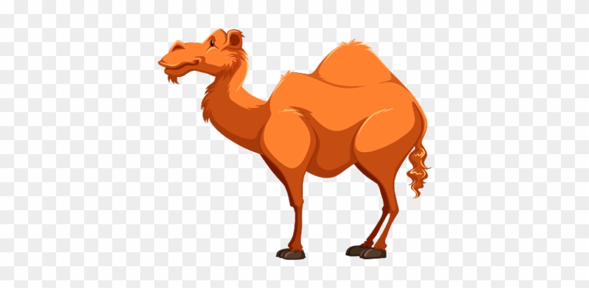 Elegant Camel Cartoon Cartoon Camel Clipart Best - Camel Cartoon Png #307519