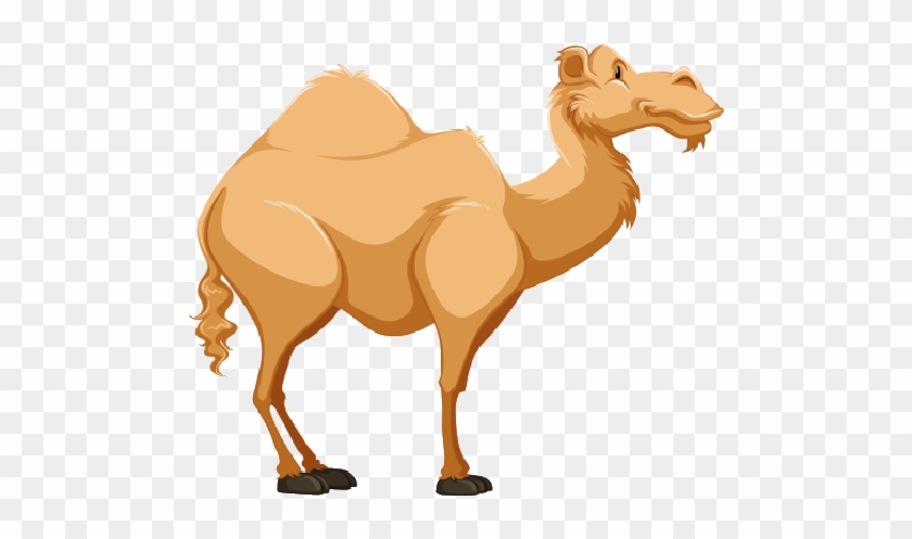 Camel Clip Art - Camel Clip Art #307610