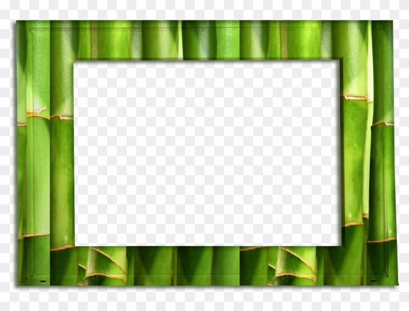 Spa Frames Bamboo - Picture Frame #307539