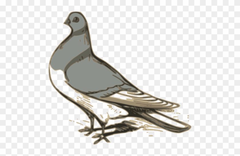 Vector Clip Art Of Grey Pigeon Illustration Public - Gambar Buruk Merpati Animasi #307602