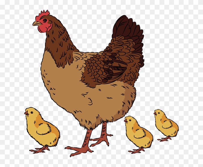 28 Collection Of Hen Clipart Png - Chicken And Chicks Clip Art #307608