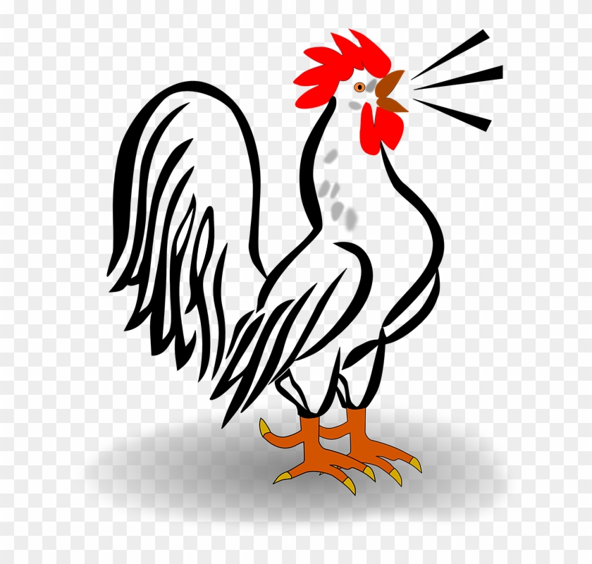 Llama Outline 23, Buy Clip Art - Rooster Clipart Free #307624