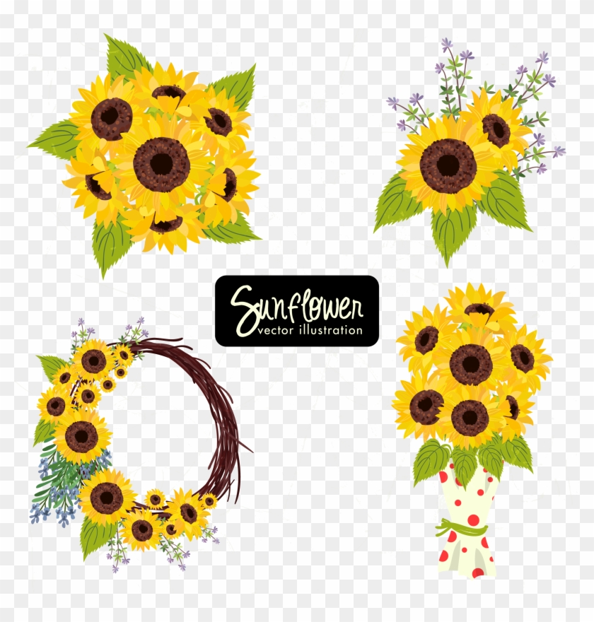 Common Sunflower Sunflower Seed Icon - Common Sunflower Sunflower Seed Icon #307887