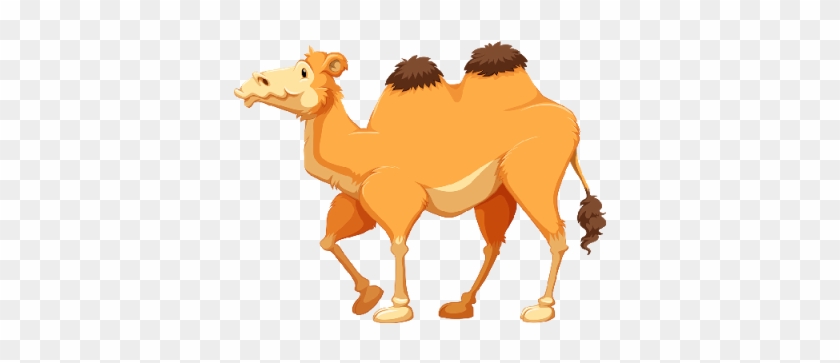 Camel Clipart Cartoon - Cartoon Camel Hd #307679