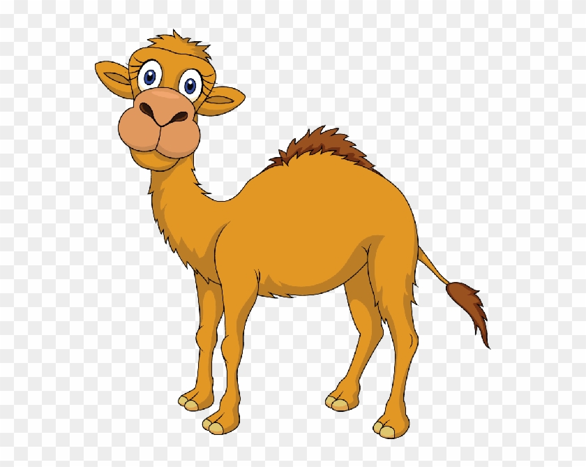 Camel Cartoon Pictures - Cartoon Camel #307681