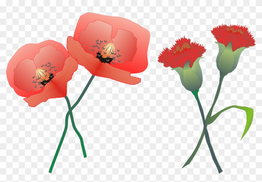 Poppy Flower Cliparts - Claveles Png #307715