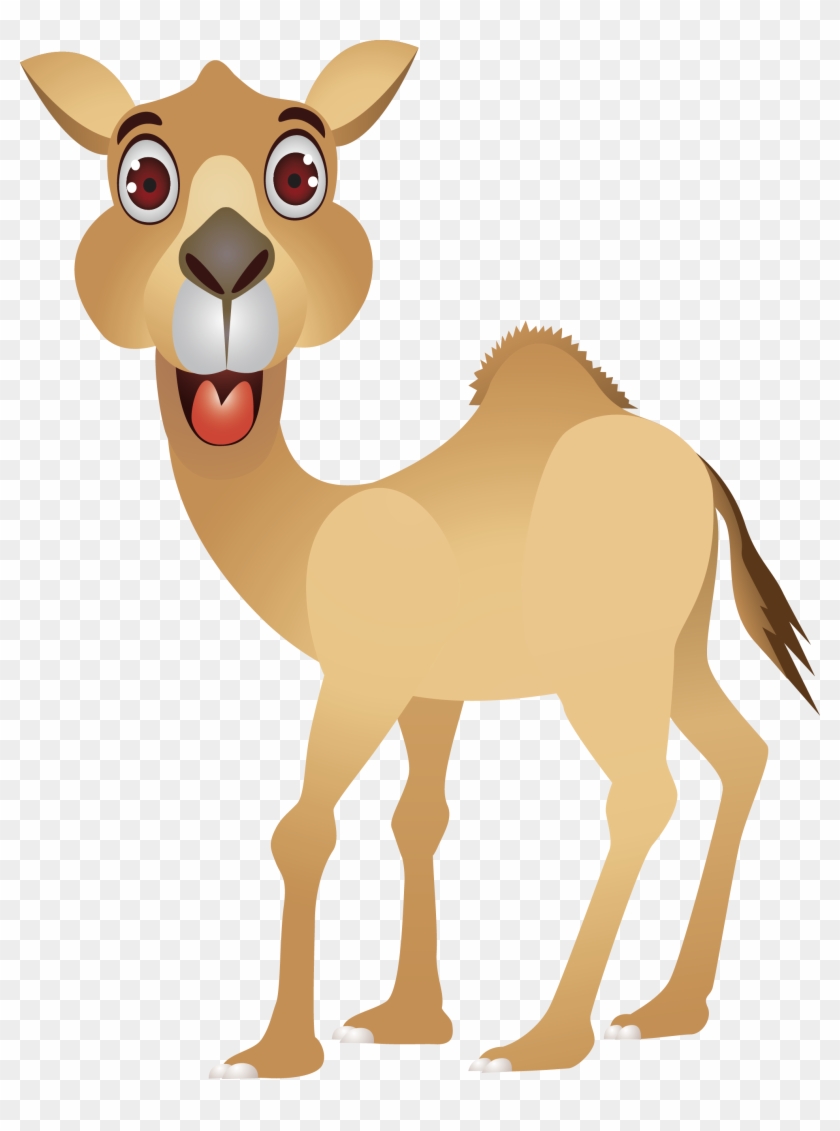 Camel Cartoon Humour Clip Art - Funny Camel Cartoon #307725