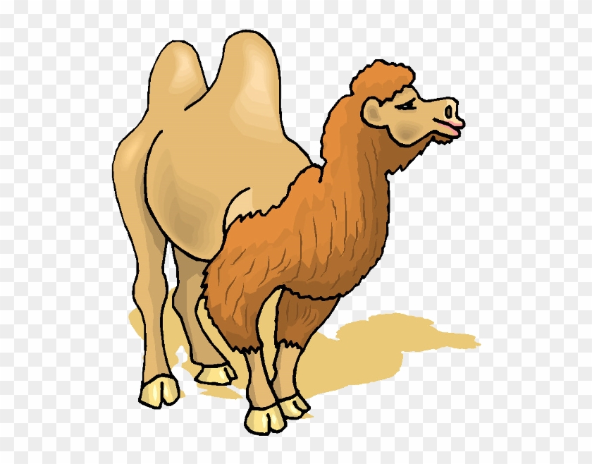 Cute Cartoon Camel Clip Art Images - Two Hump Camel Clipart #307730