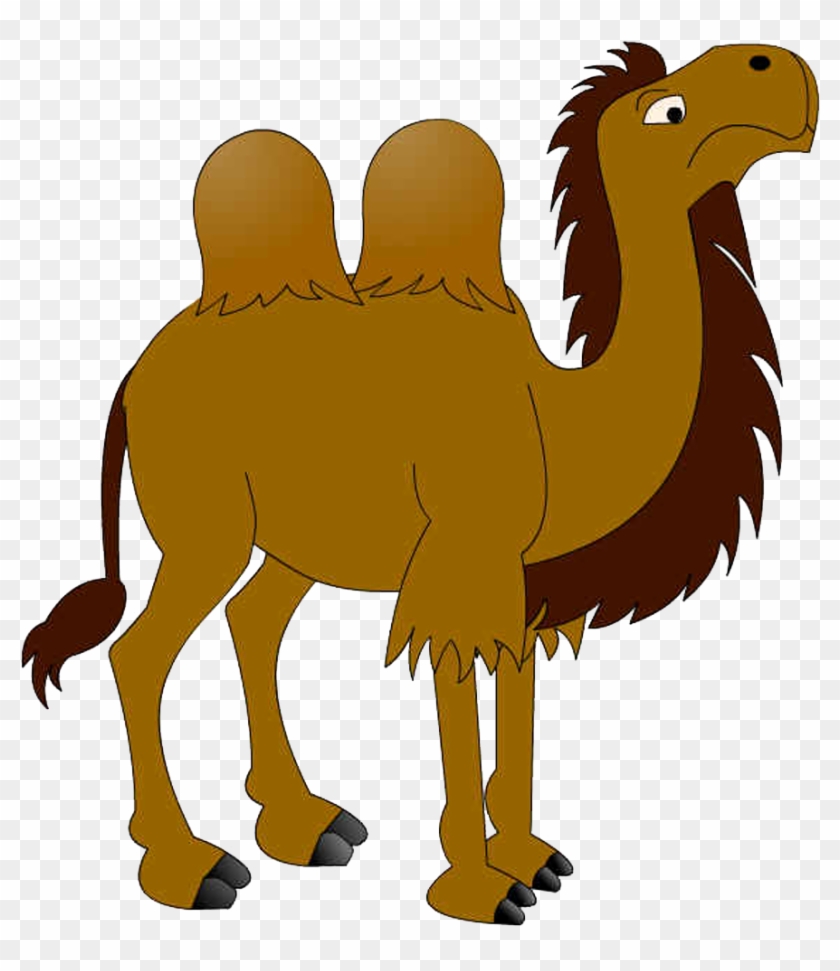 Dromedary Cartoon - Lovely Camel - Dromedary Cartoon - Lovely Camel #307772