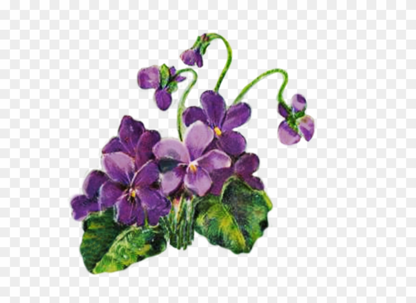 Floral Clipart For Scrapbooking - Transparent Blue Violets Png #307759