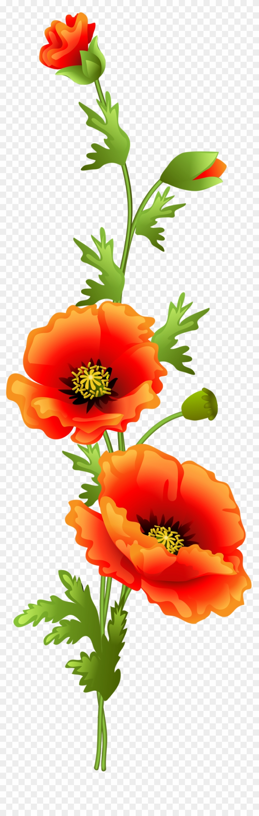 Flowers - Orange Poppy Flower Clip Art #307768