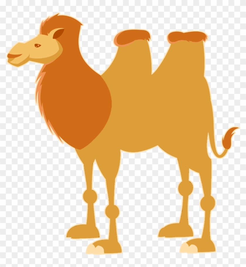 Bactrian Camel Dromedary Cartoon Illustration - Bactrian Camel Dromedary Cartoon Illustration #307807