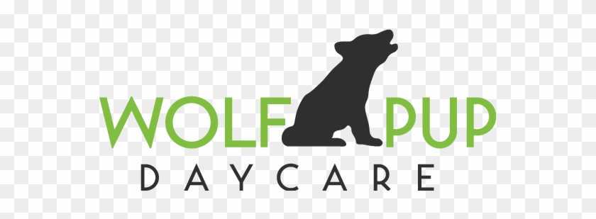 Wolf Pup Daycare Watford City, North Dakota - Puma #307839