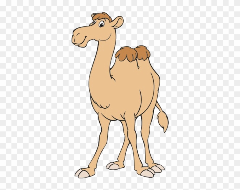 Funny Camel Clipart Pictures - Camel Cartoon #307862