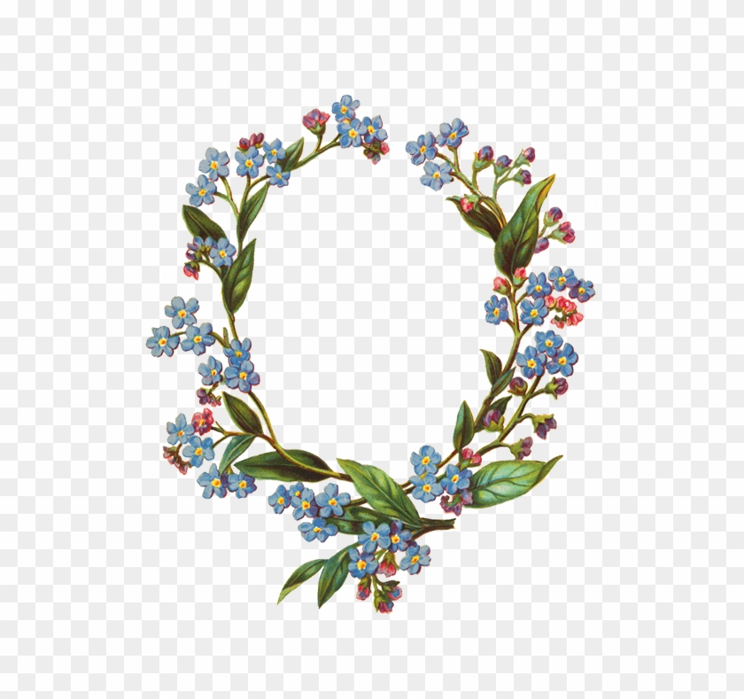 Forget Me Not Flower Frame - Round Flower Frame Transparent #307944