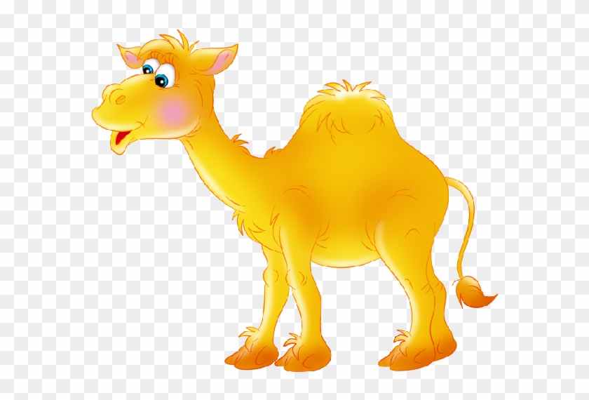 Funny Camel Pictures Clipart - Верблюд Клипарт #307949