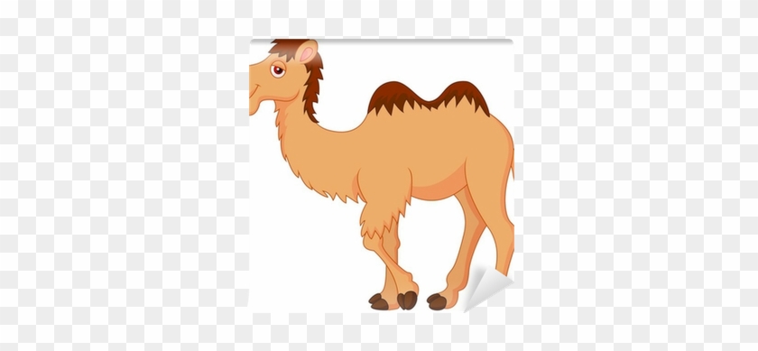 Cartoon Image Of Camel #307952