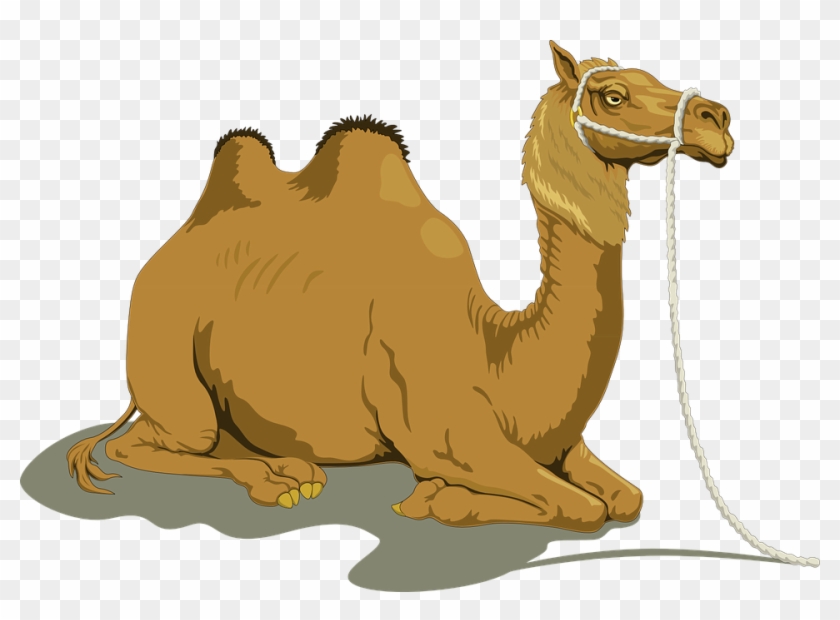 Camel Clipart Animated - Camel Vector #307994