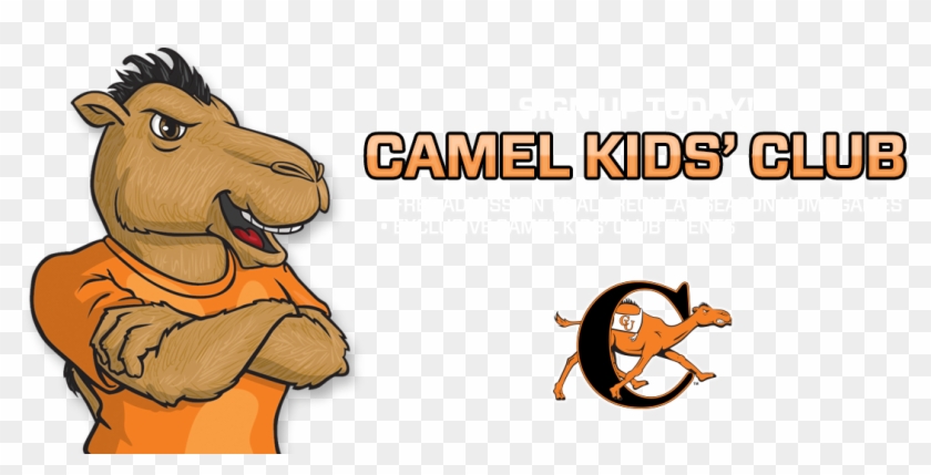 Campbell University Athletics Rh Gocamels Com Campbell - Campbell Fighting Camels #308035