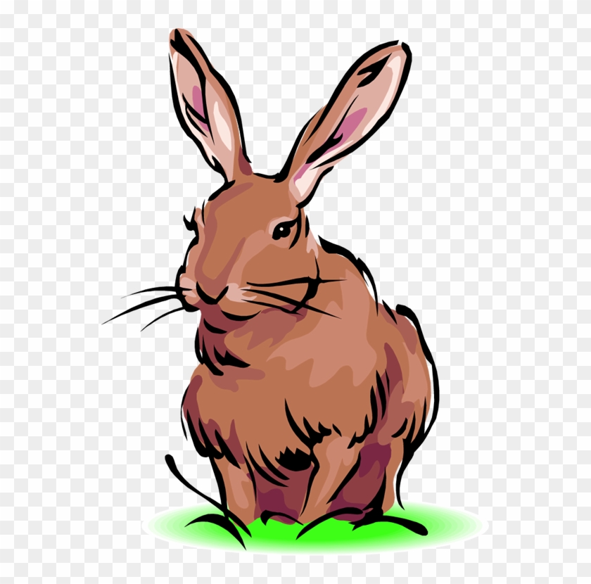 Gray Rabbit Clipart - Hare #53713